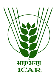 ICAR Logo