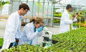 Horticulture Image